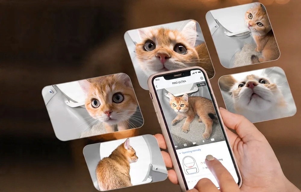 Wbudowana kamera Full HD do monitorowania zdrowia kota