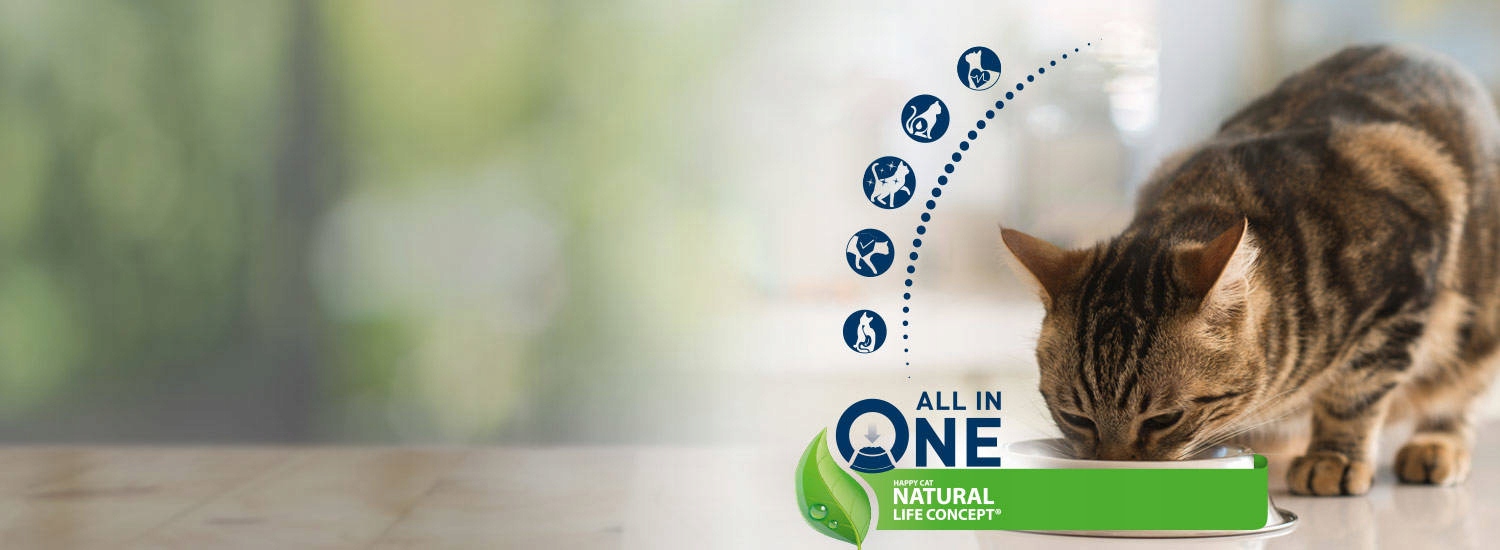 Wzmacnianie stawów i zdrowie zębów