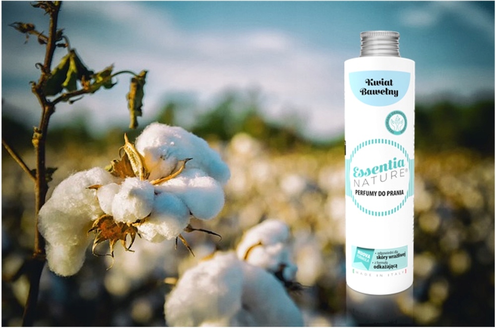 Działanie dezynfekujące – Higiena na pierwszym miejscu