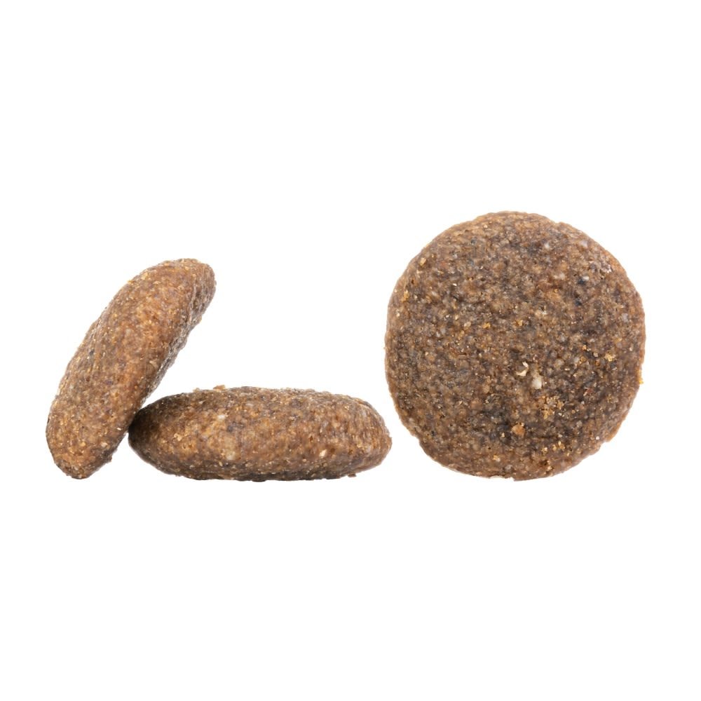 Korzyści zdrowotne – Omega-3 i omega-6 dla zdrowej skóry i sierści