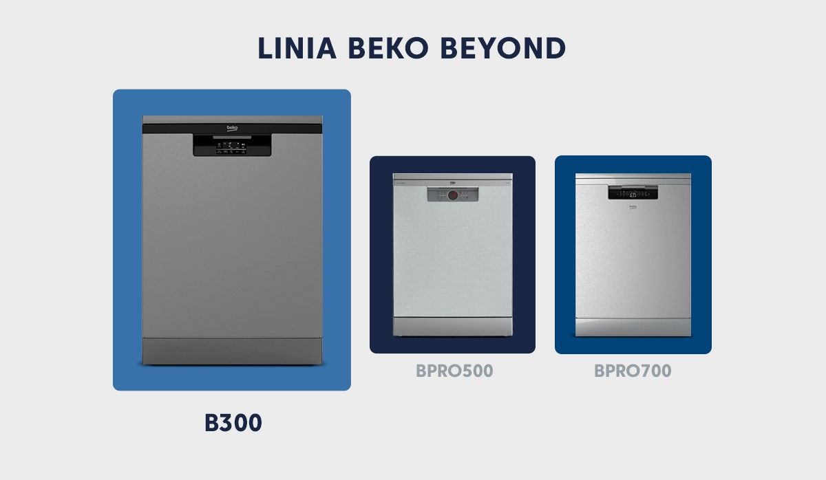 FS b300