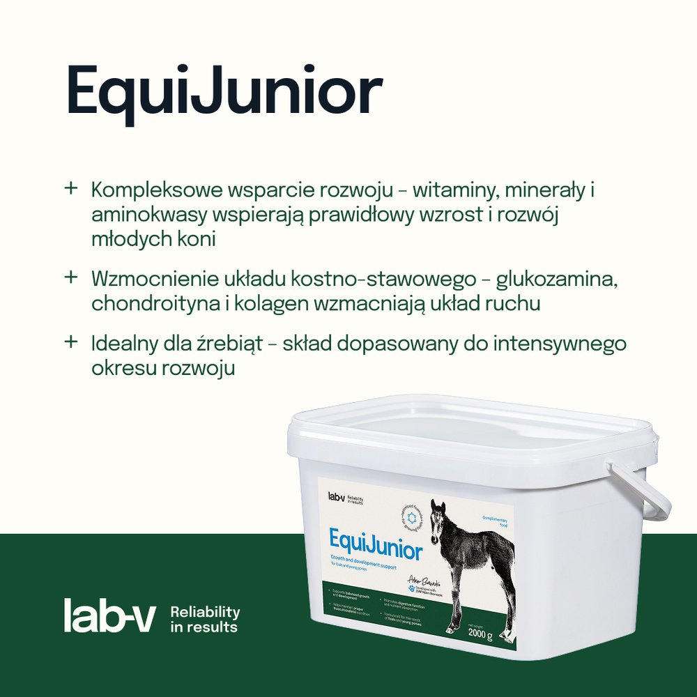 Wsparcie wzrostu i rozwoju młodych koni