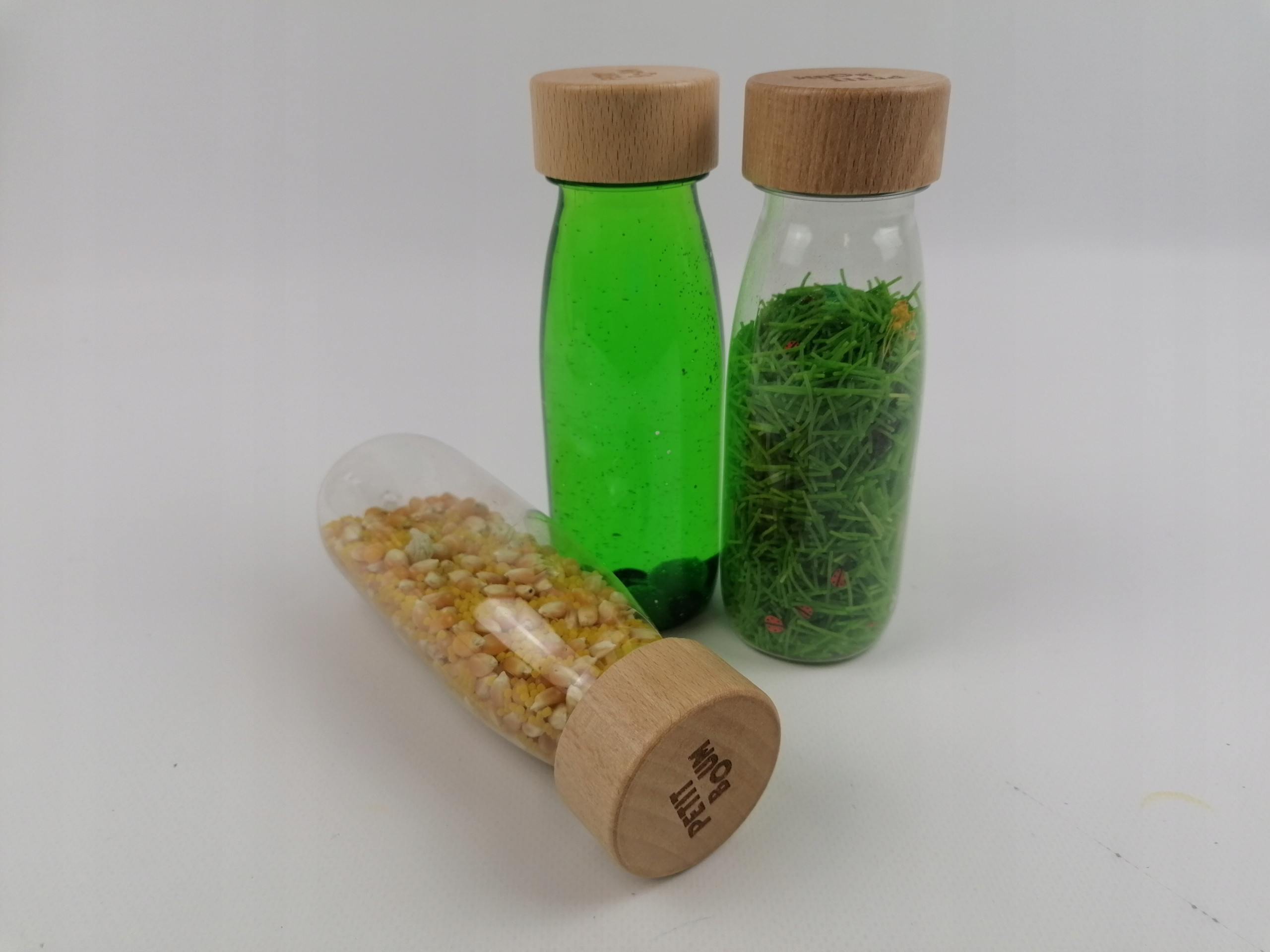 Odkrywanie ekosystemów z zestawem Life