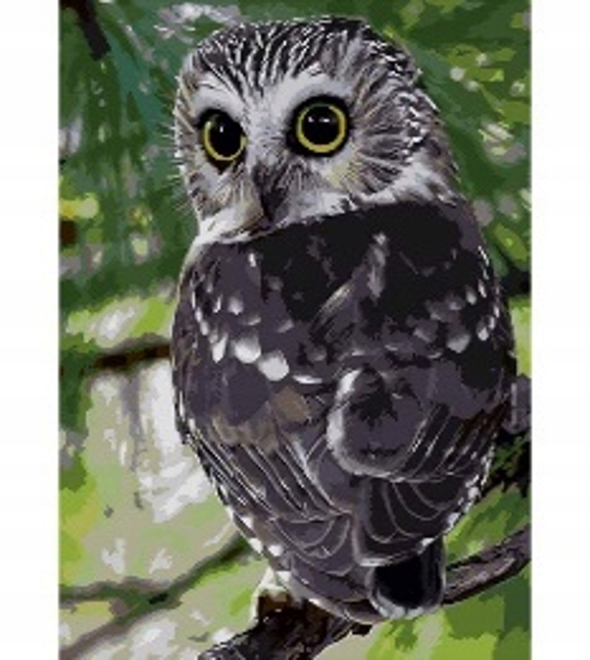 Malowanie po numerach Sowa na gałęzi – Kreatywna zabawa dla każdego