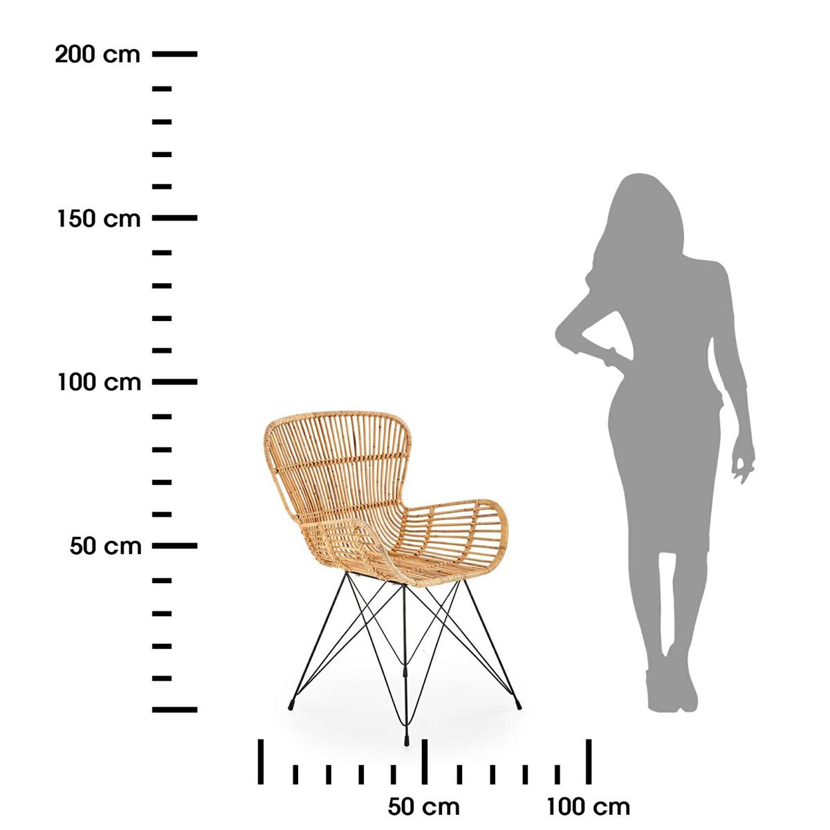 336475.jpg
