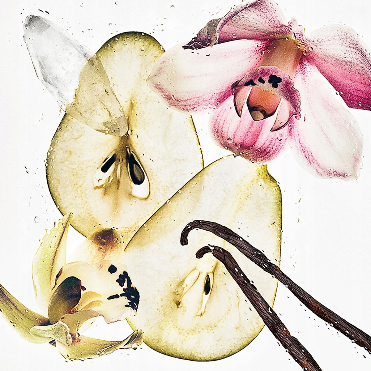 Zmysłowy zapach Calvin Klein – Połączenie wanilii i delikatności