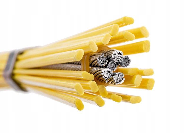 Skuteczne usuwanie mchów i chwastów