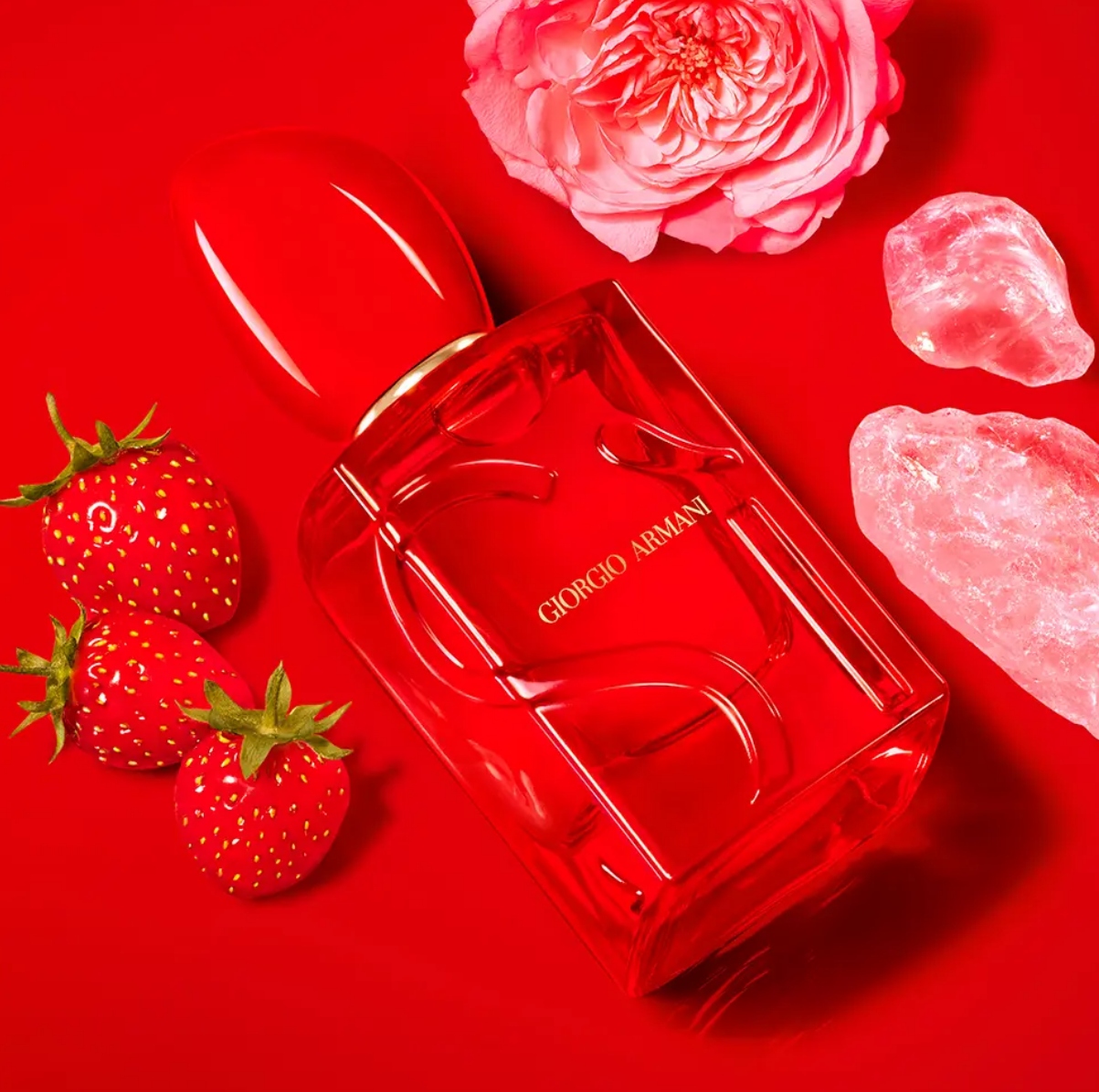 Aksamitna róża i mleczne akordy