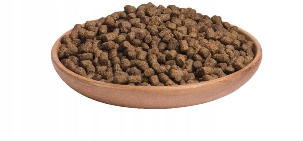 Smakowita kompozycja, która zachwyci Twojego pupila