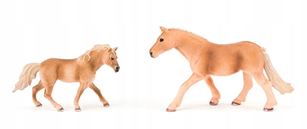 Rozwój umiejętności społecznych i empatii – Zabawa z koniami jako nauka odpowiedzialności