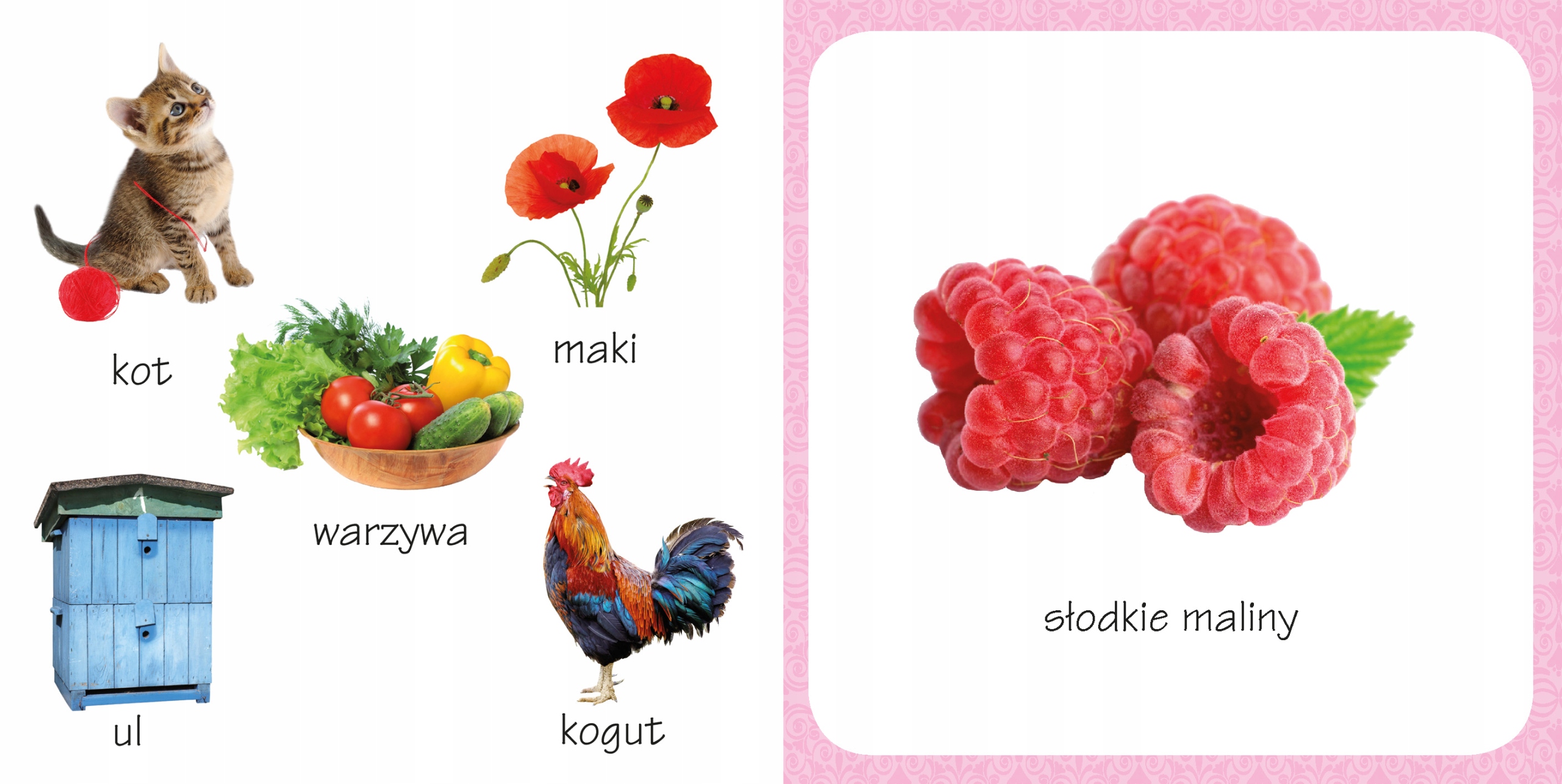 Rozwój zmysłu węchu i wyobraźni