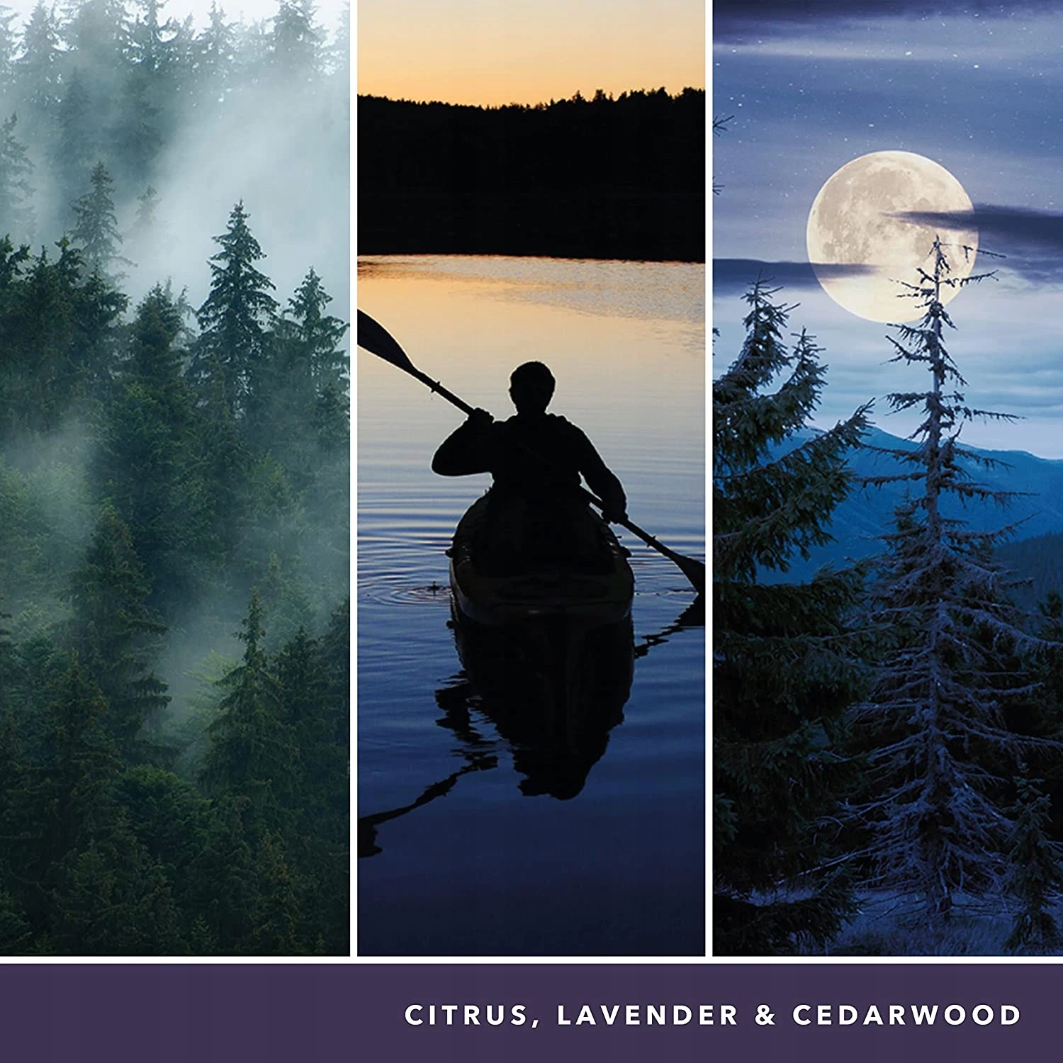 Intensywne Nuty Zapachowe: Piżmo, Paczula i Szałwia