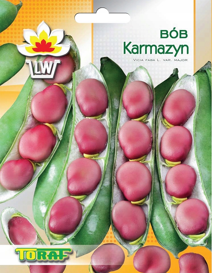 Cykl rozwojowy i terminy zbiorów Bóbu Karmazyn