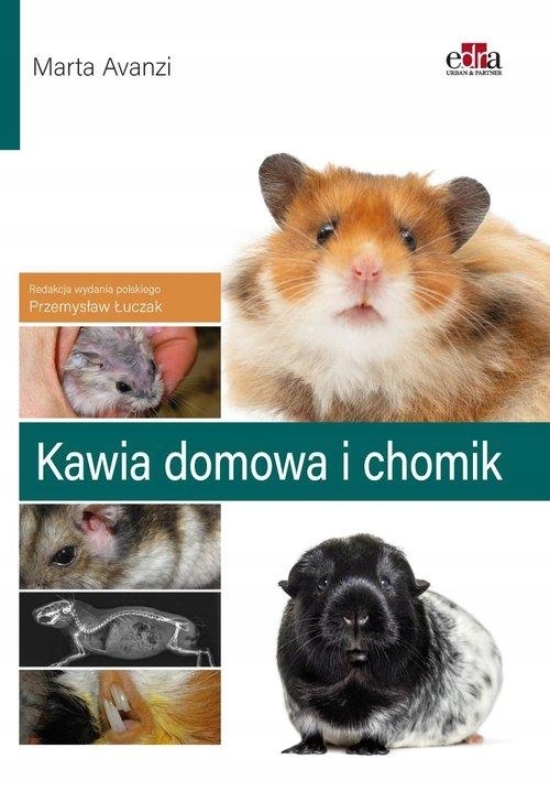 Kawia domowa i chomik – Kluczowy przewodnik dla weterynarzy