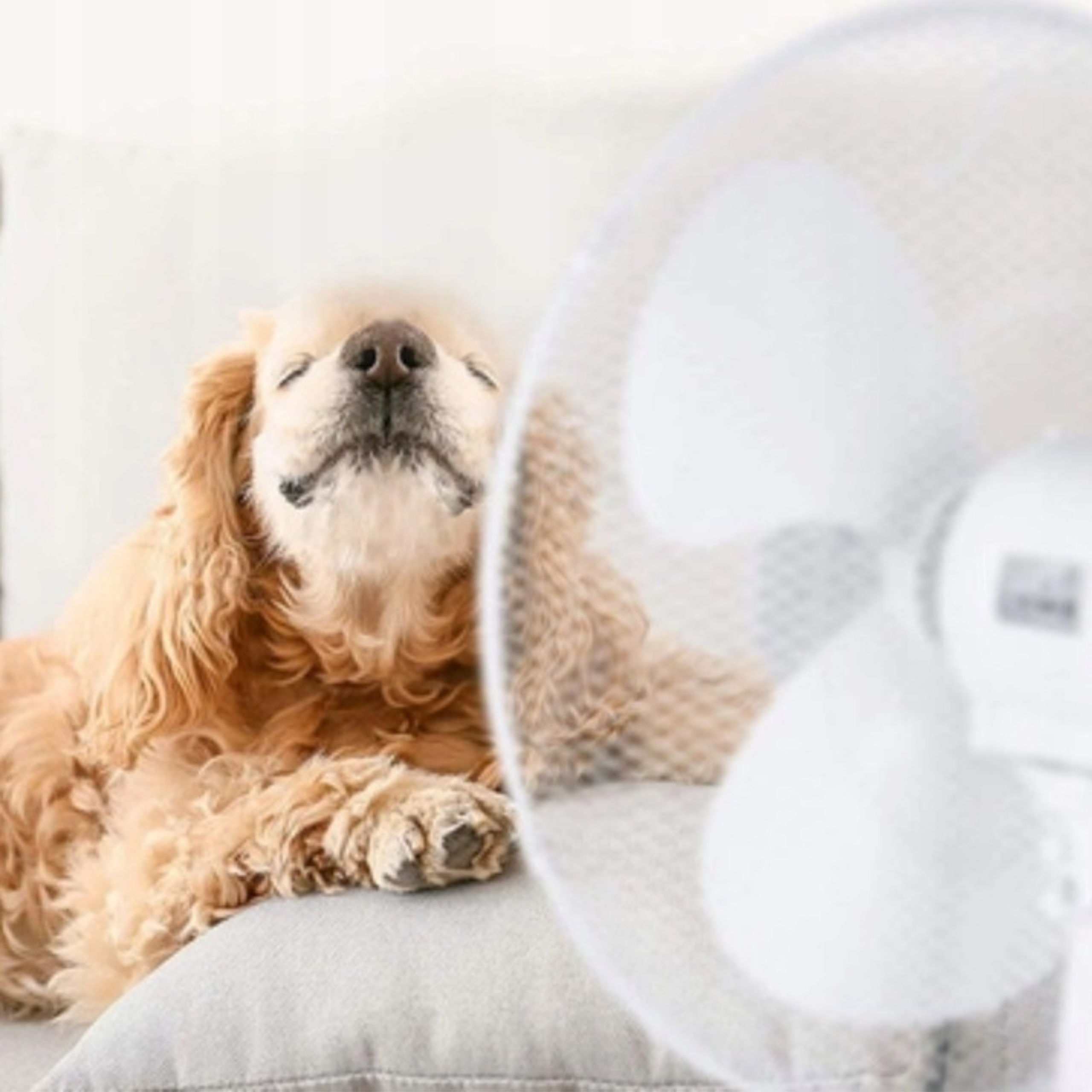 Nowoczesny Design i Cicha Praca