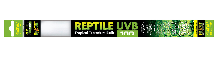 Optymalne promieniowanie UVB dla zdrowia gadów