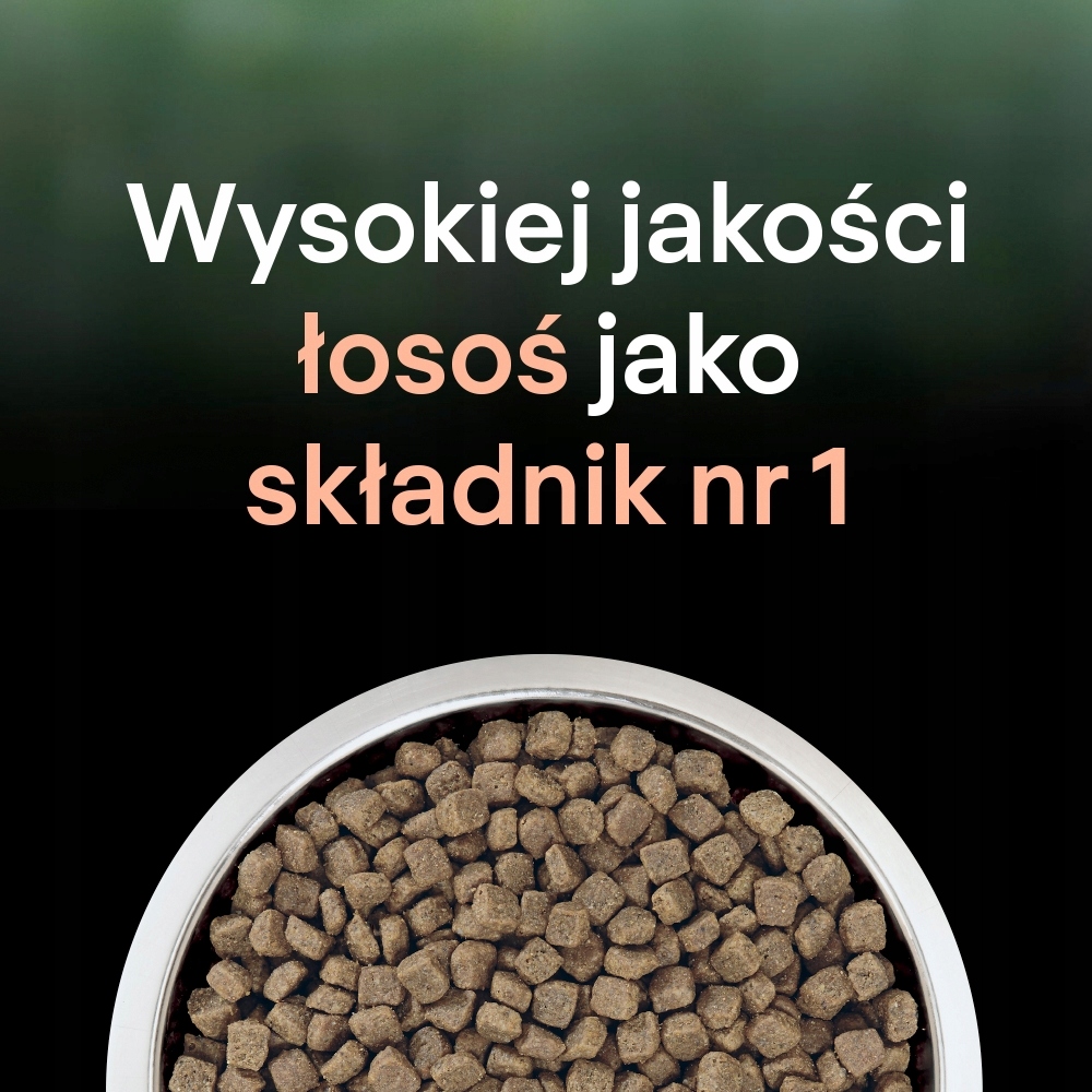 Wysokiej jakości składniki – Łosoś jako główny składnik karmy