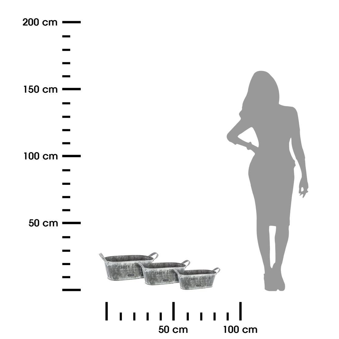 339074.jpg