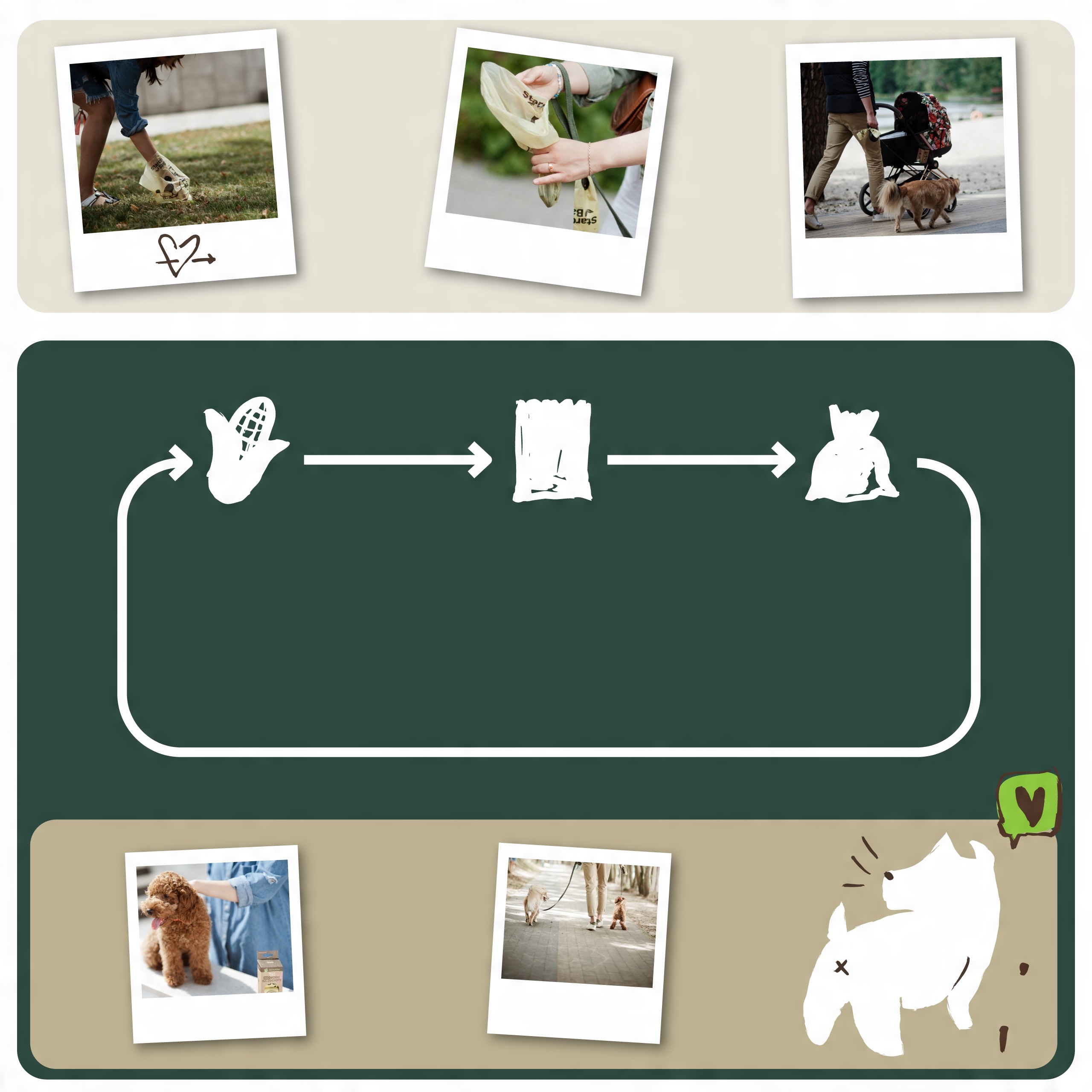 Biodegradowalne i kompostowalne – co to oznacza?