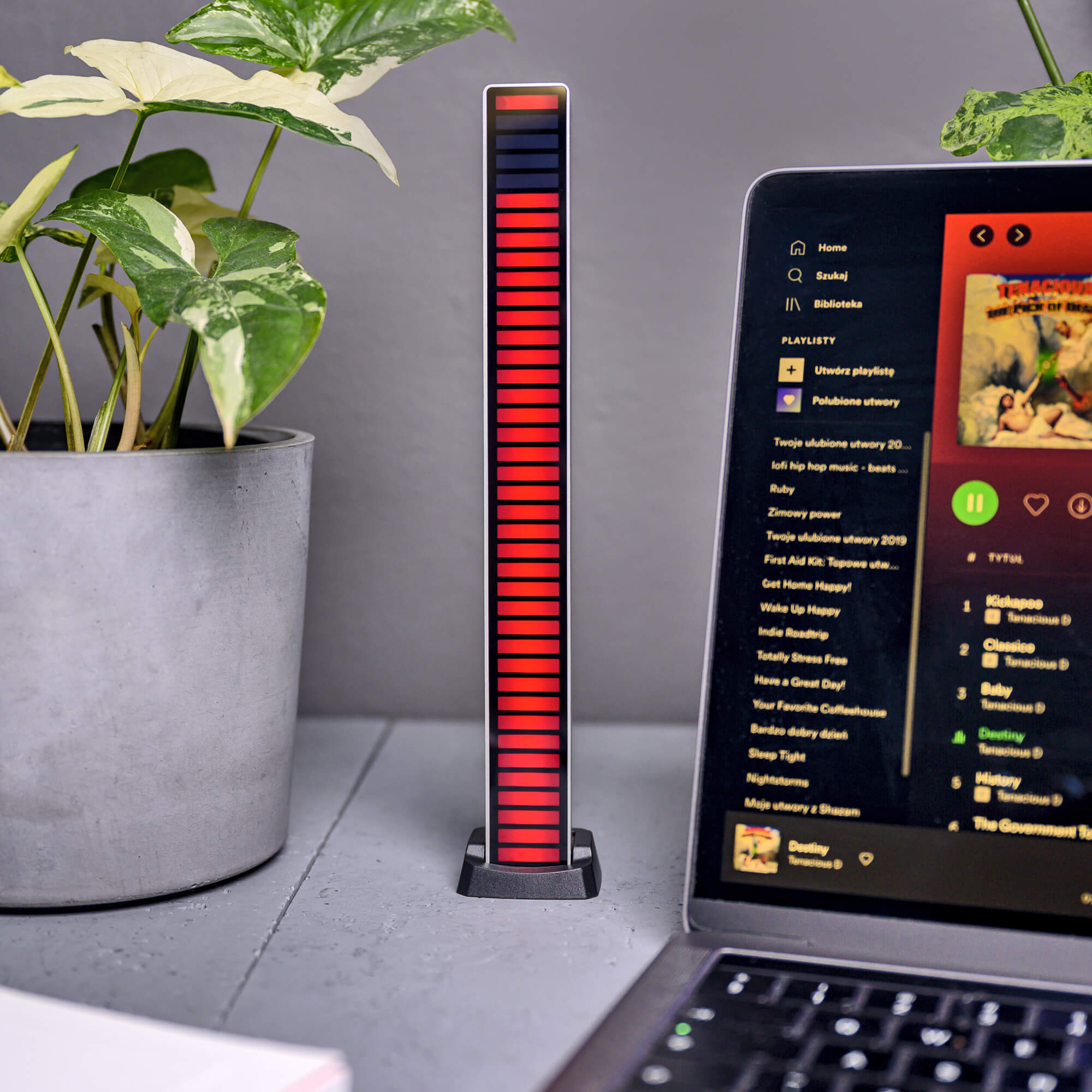 Equalizer RGB Redleaf 40LED - srebrny