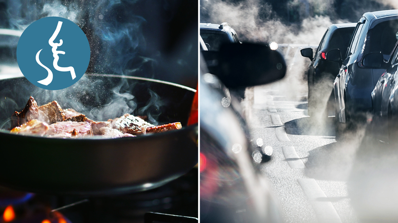 Wydajność oczyszczania do 65 m² – Idealny dla alergików