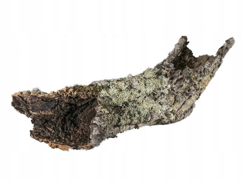 Wymiary i zastosowanie tub korkowych – Szczegóły dotyczące rozmiarów i użytkowania