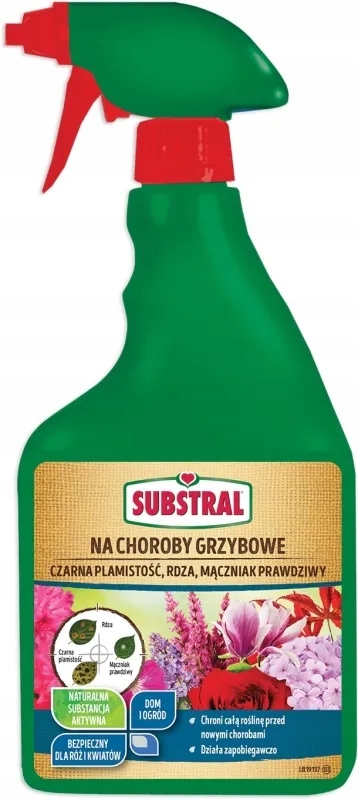 Zwalczanie najczęstszych chorób grzybowych – Co chroni Twój ogród?