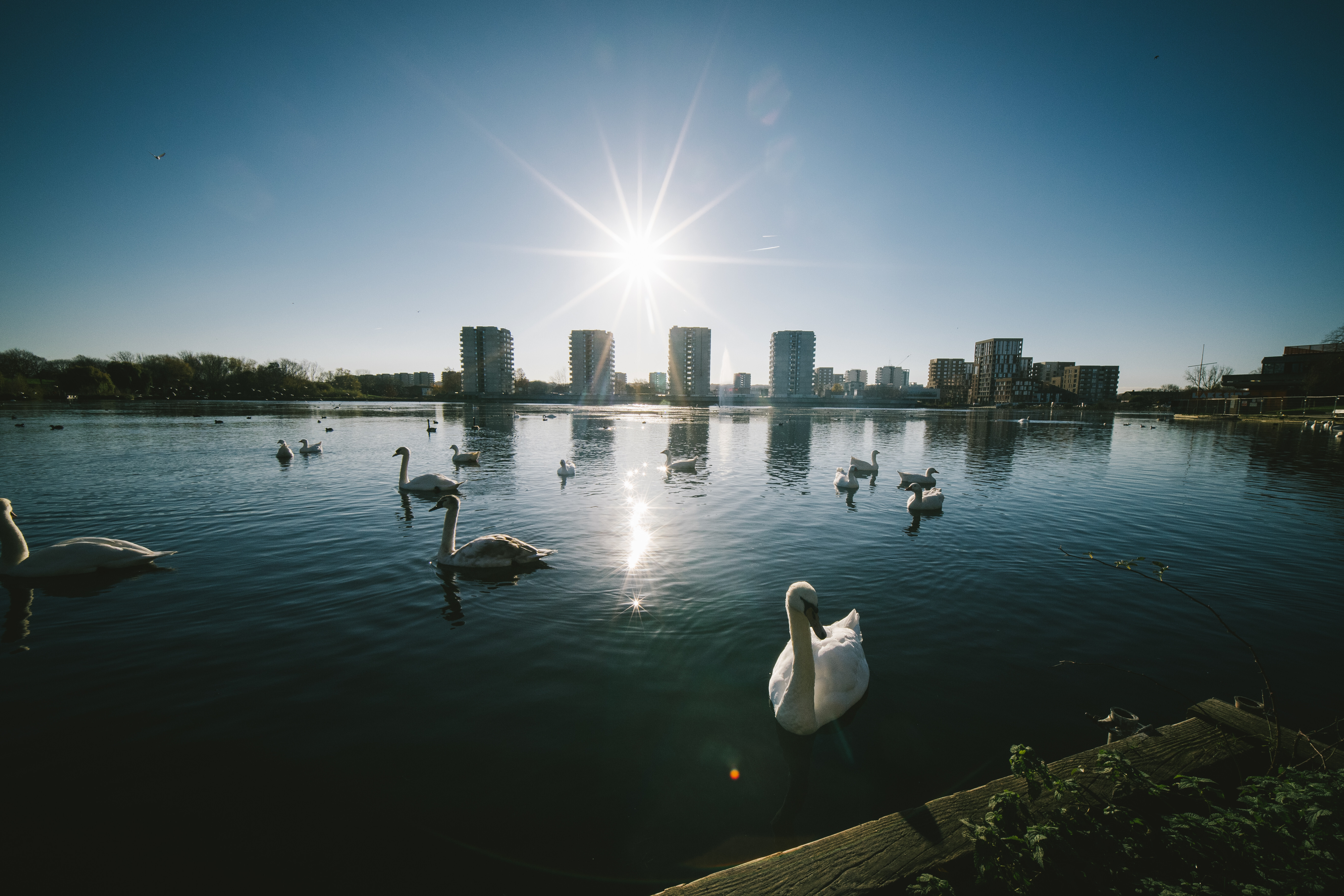 Obiektyw Venus Optics Laowa C-Dreamer 6 mm f/2,0 do Micro 4/3