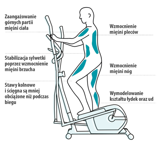 Orbitreki magnetyczne Zipro