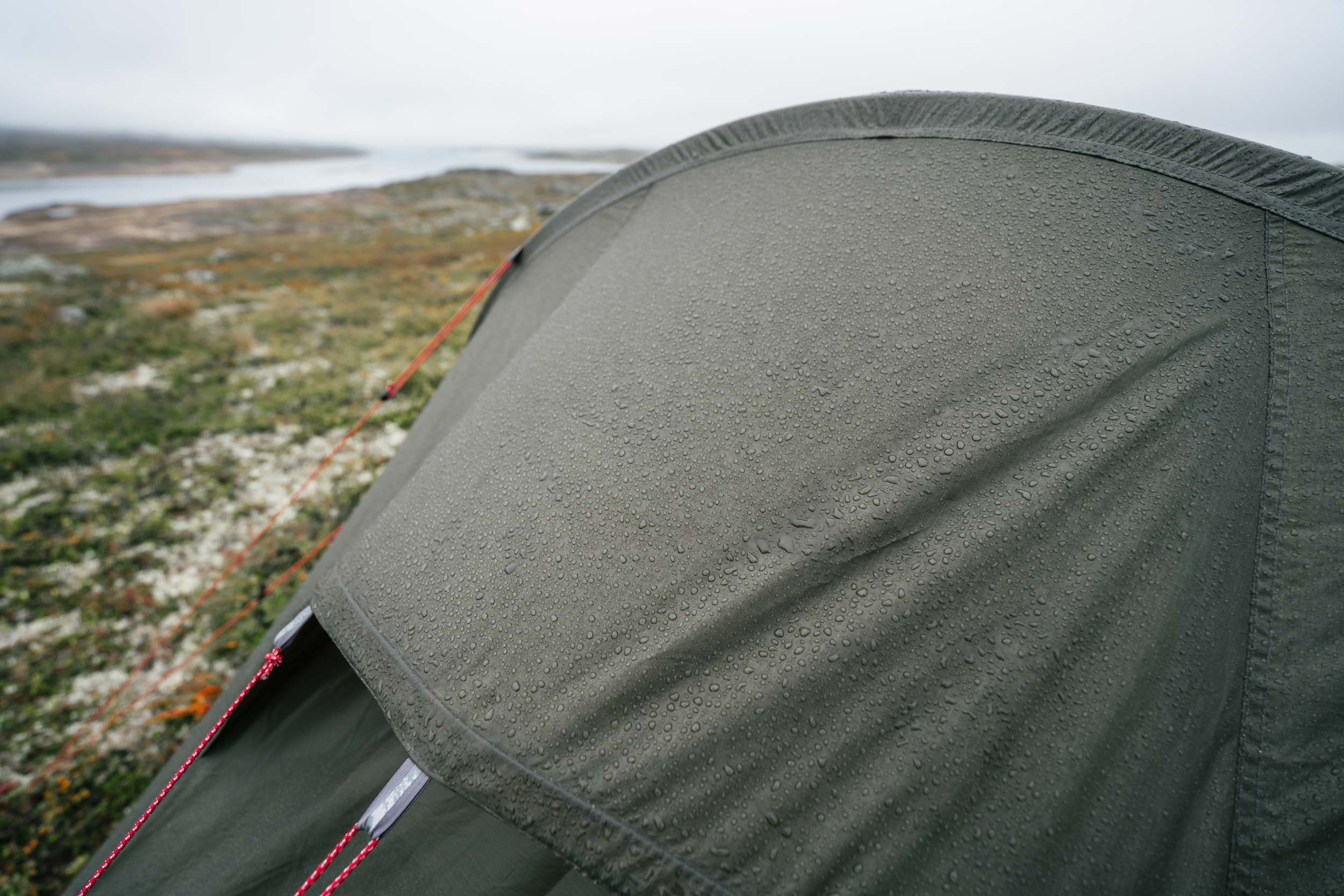 Typ i konstrukcja namiotu tunelowego