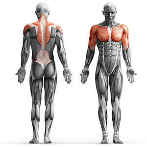 Obciążenie żeliwne 5 kg - Marbo Sport