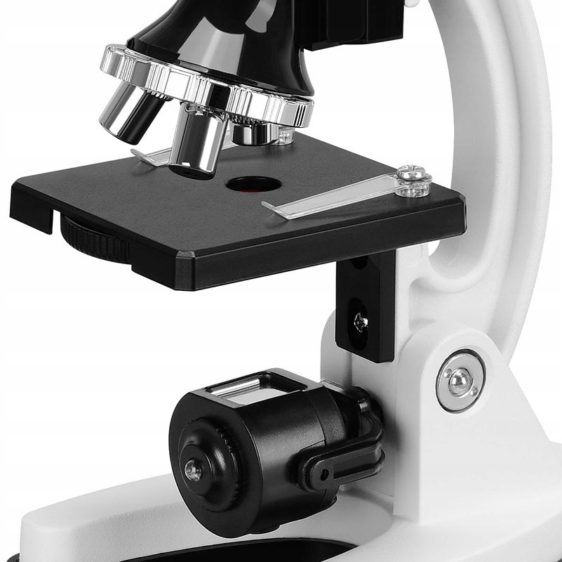 Powiększenia mikroskopu – Odkrywaj detale z 100x, 400x i 900x