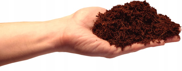 Wspomaganie wzrostu korzeni i poprawa struktury gleby