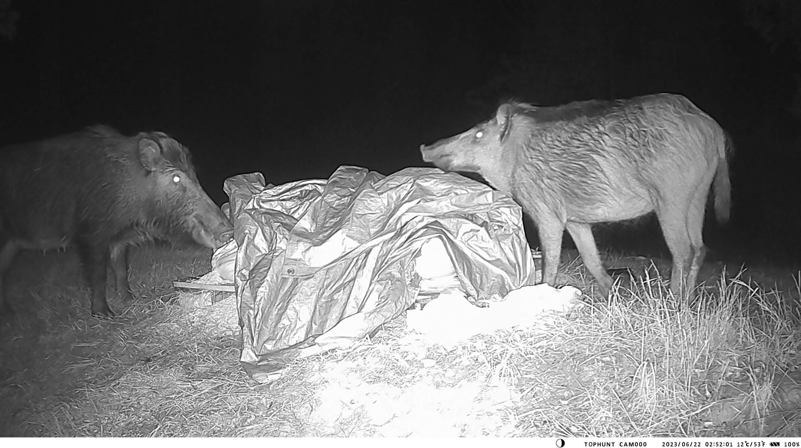 Wbudowane diody podczerwieni do pracy w nocy