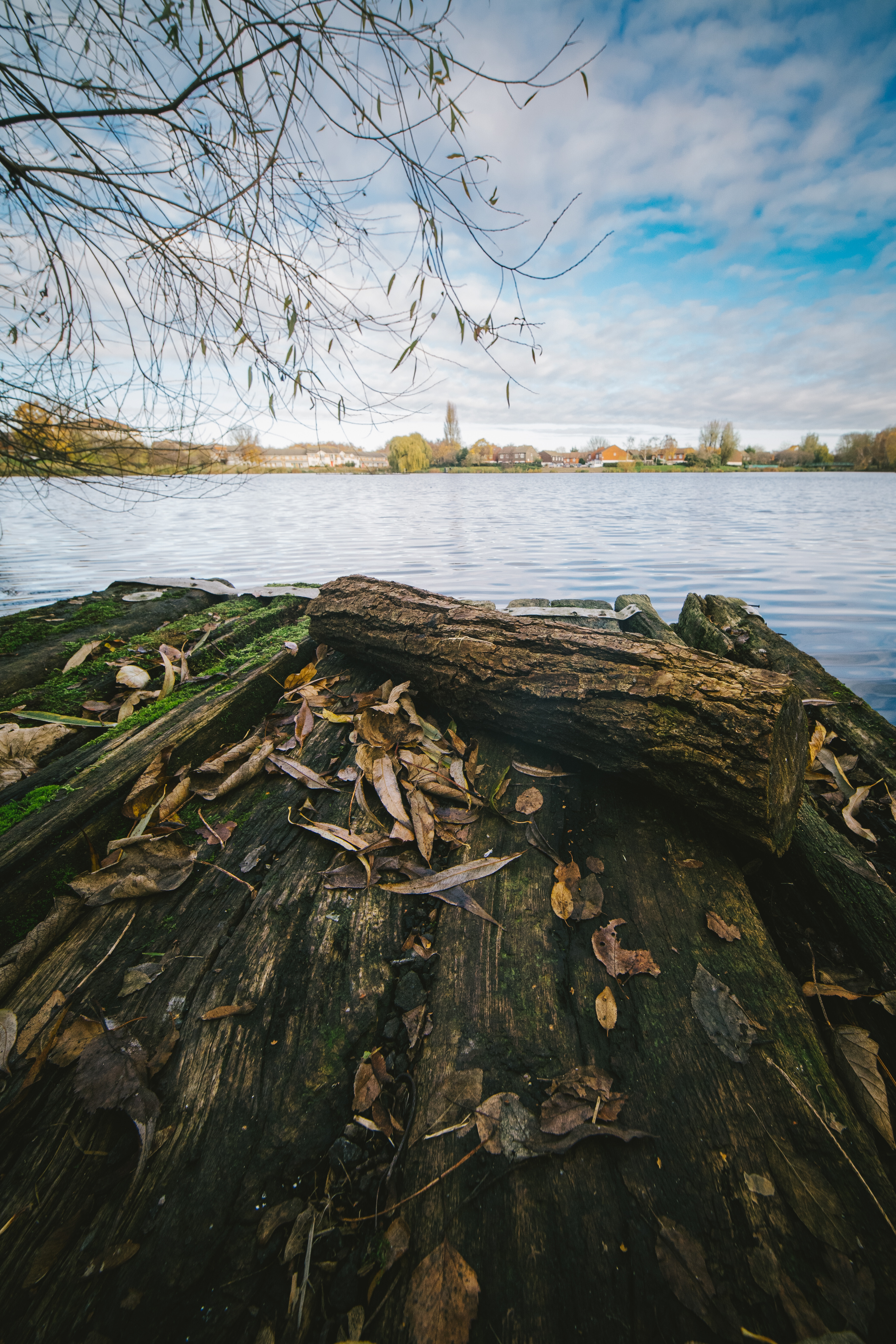 Obiektyw Venus Optics Laowa C-Dreamer 6 mm f/2,0 do Micro 4/3