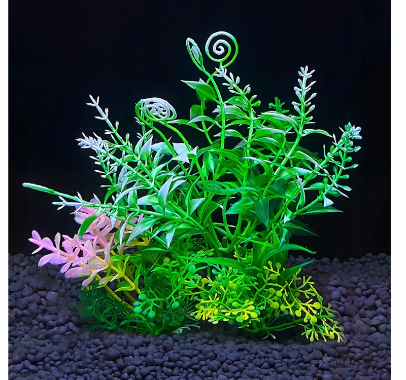 Stabilna konstrukcja i funkcjonalność w terrarium