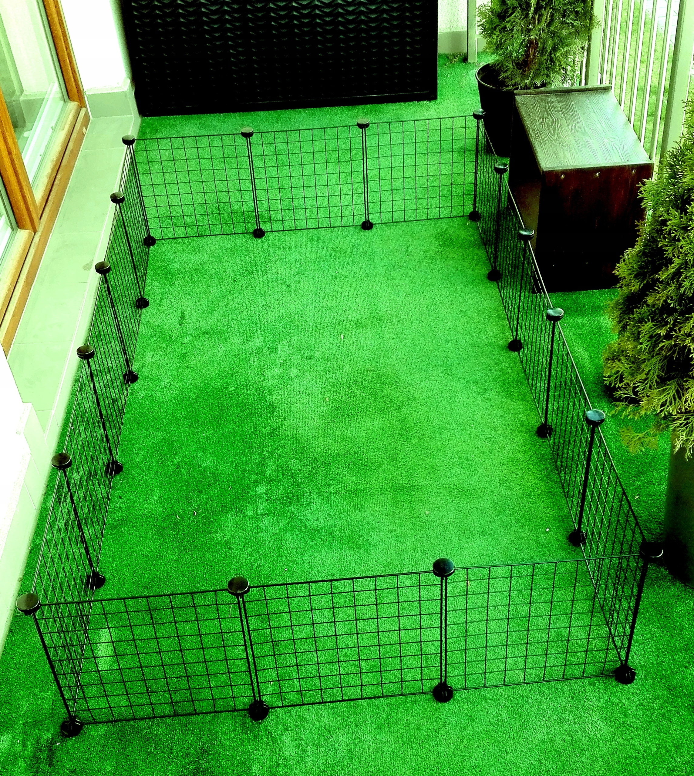 Bezpieczeństwo i komfort dla zwierząt
