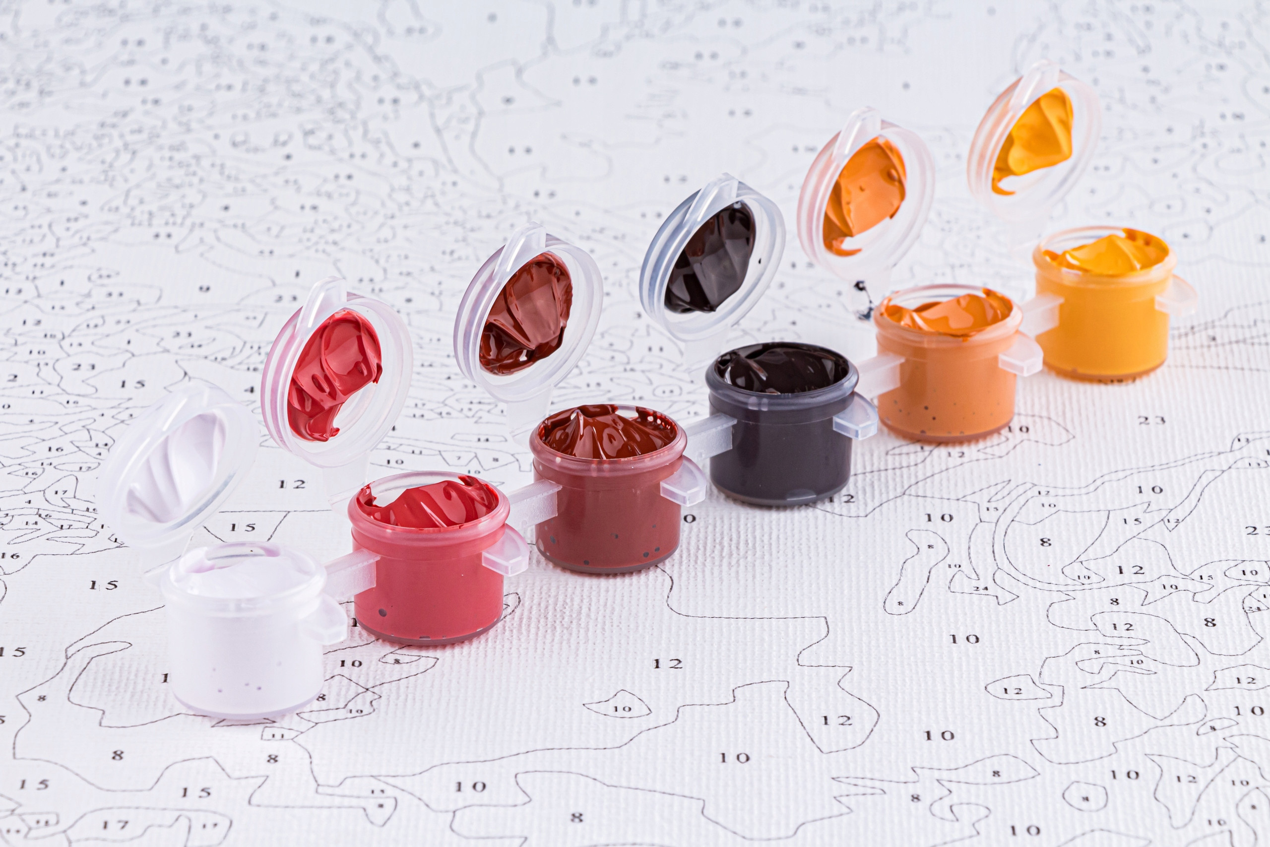 Instrukcja w języku polskim – proste kroki do sukcesu