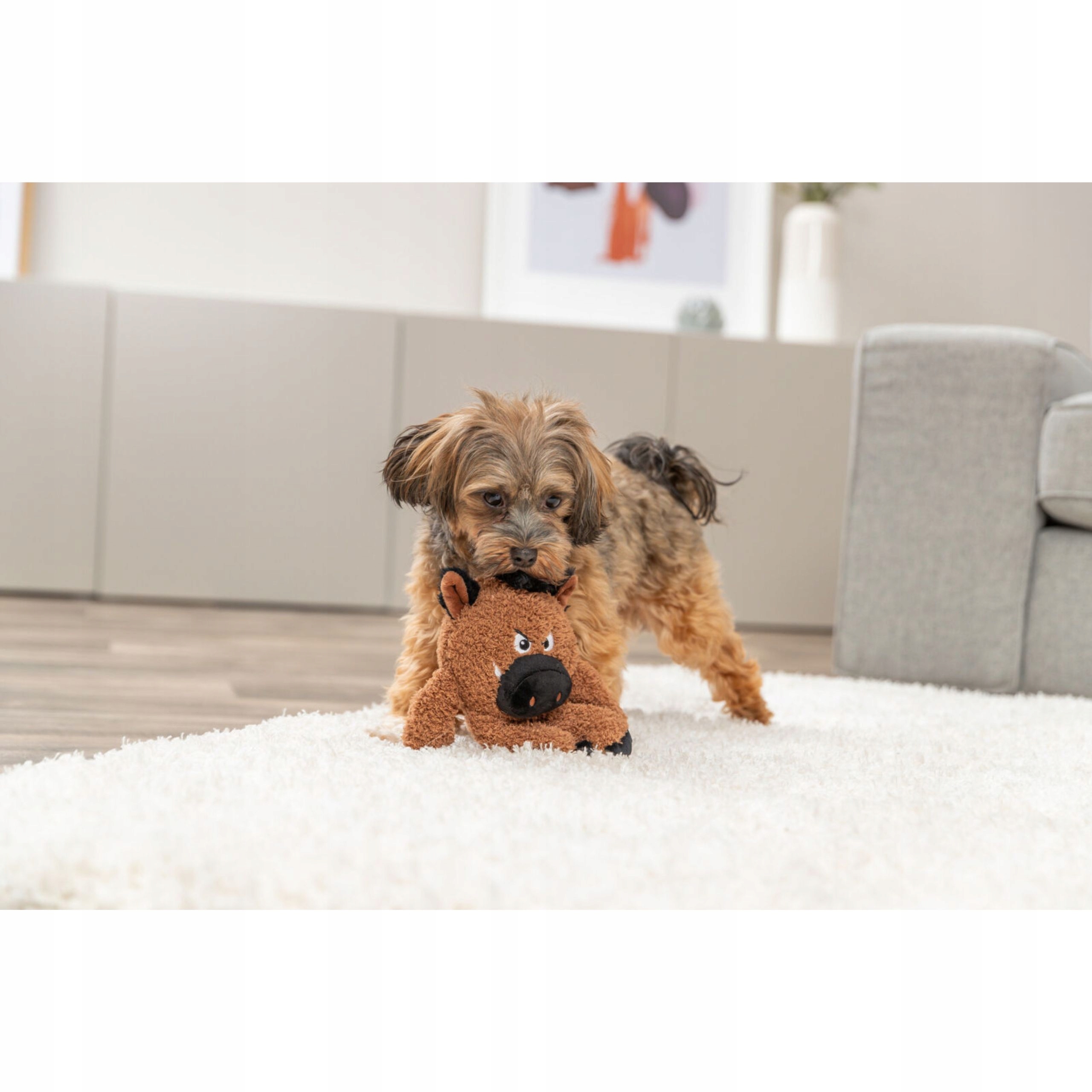 Bezpieczna zabawa – Zabawka stworzona z myślą o komforcie pupila