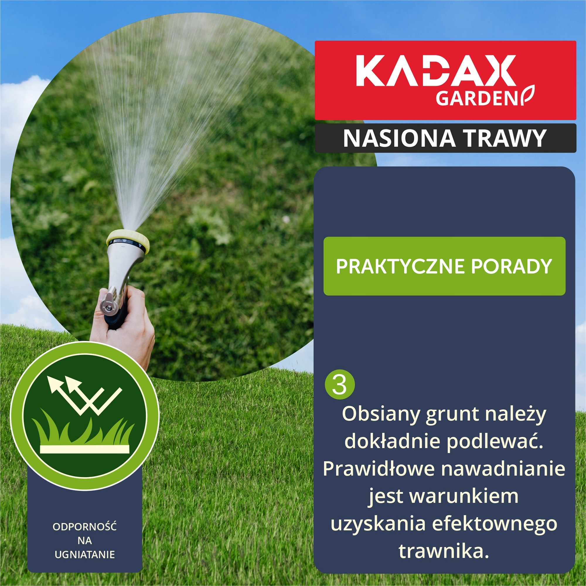 Jak założyć trawnik z gwarancją sukcesu – Praktyczne porady