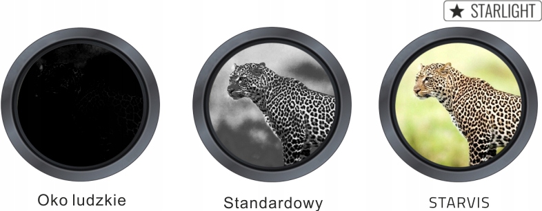 Funkcje detekcji ruchu i Smart IR dla lepszej widoczności