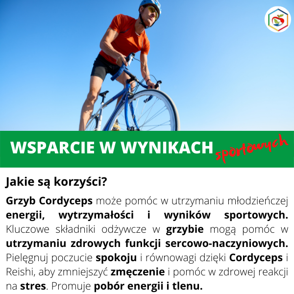 d84321e6efbdb5e49a5293ec6fbb811c.png