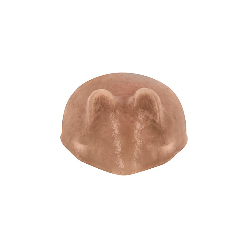 Wysoka jakość składników – mięsne źródło białka