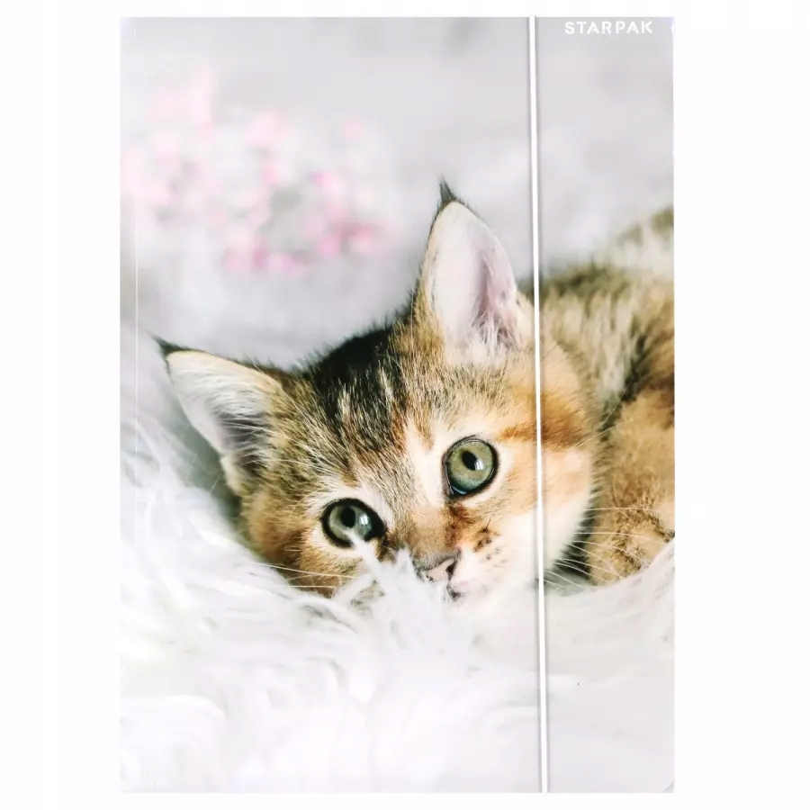 Teczka z gumką A4 Kotki STARPAK 559717 – Idealna do przechowywania dokumentów