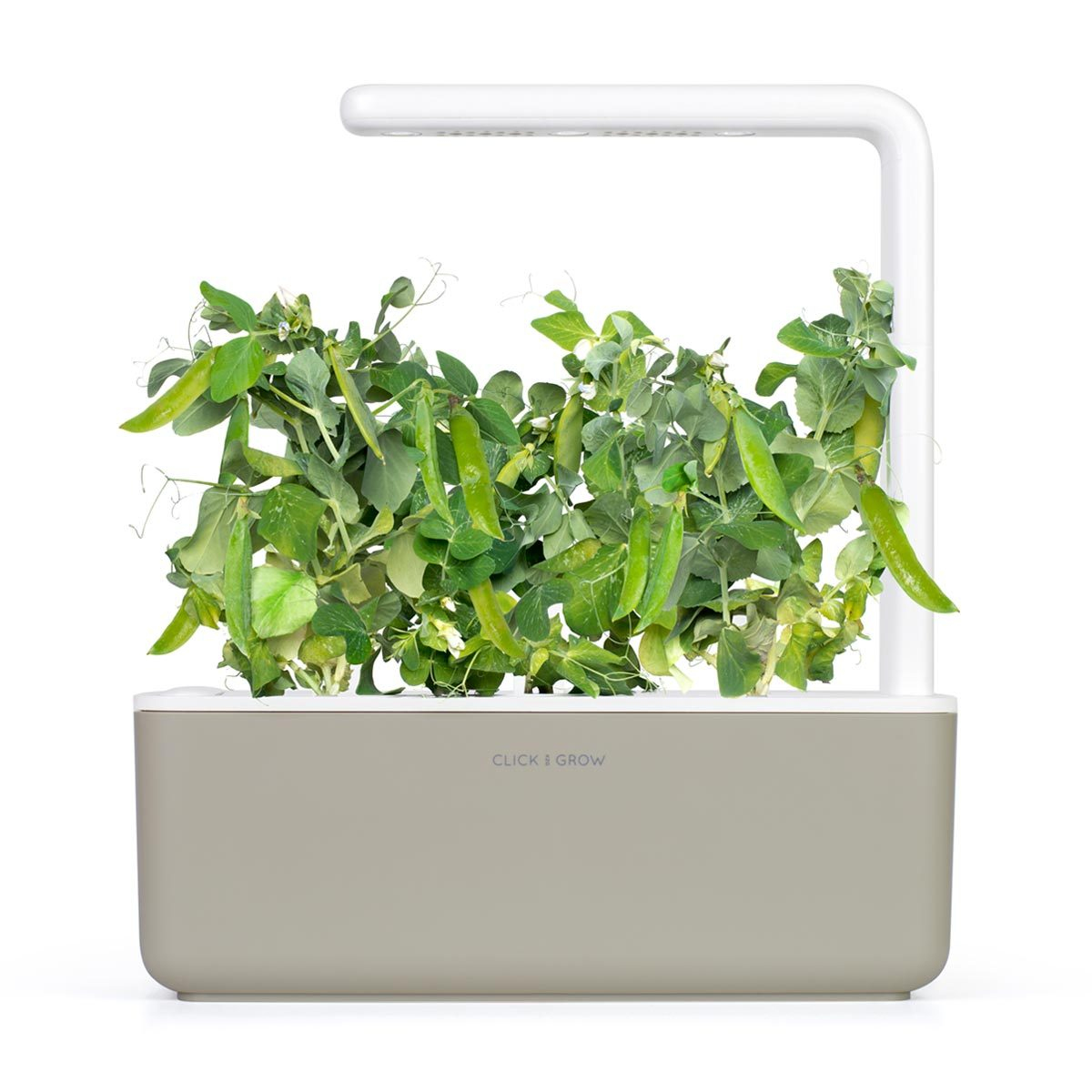 Idealne do wewnętrznych ogrodów Click & Grow