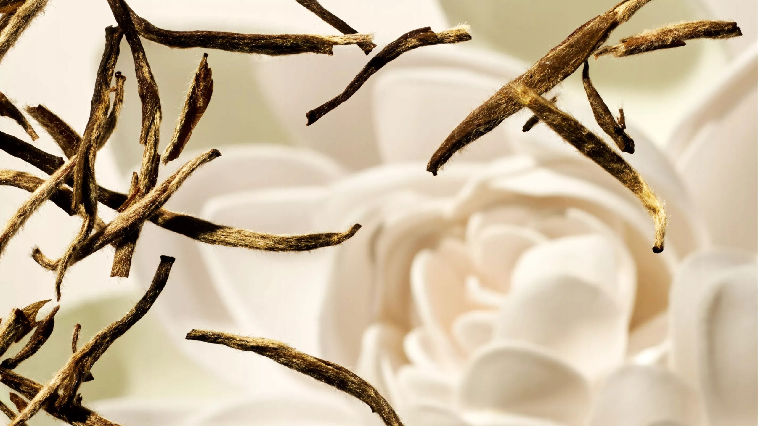 Subtelny zapach białej herbaty i kwiatu lotosu