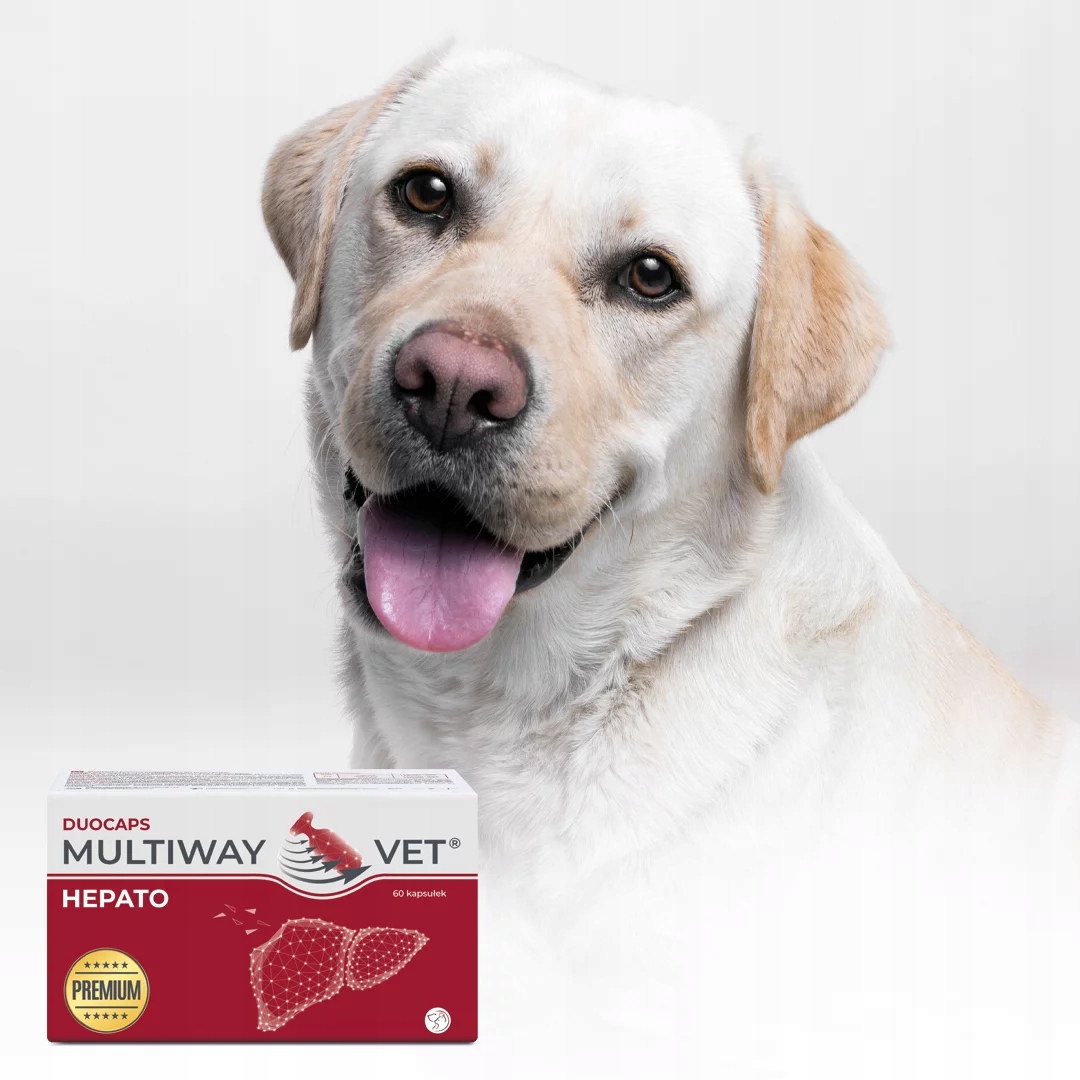 JM SANTE Multiway Vet Duocaps Hepato – Wsparcie dla zdrowia wątroby Twojego pupila