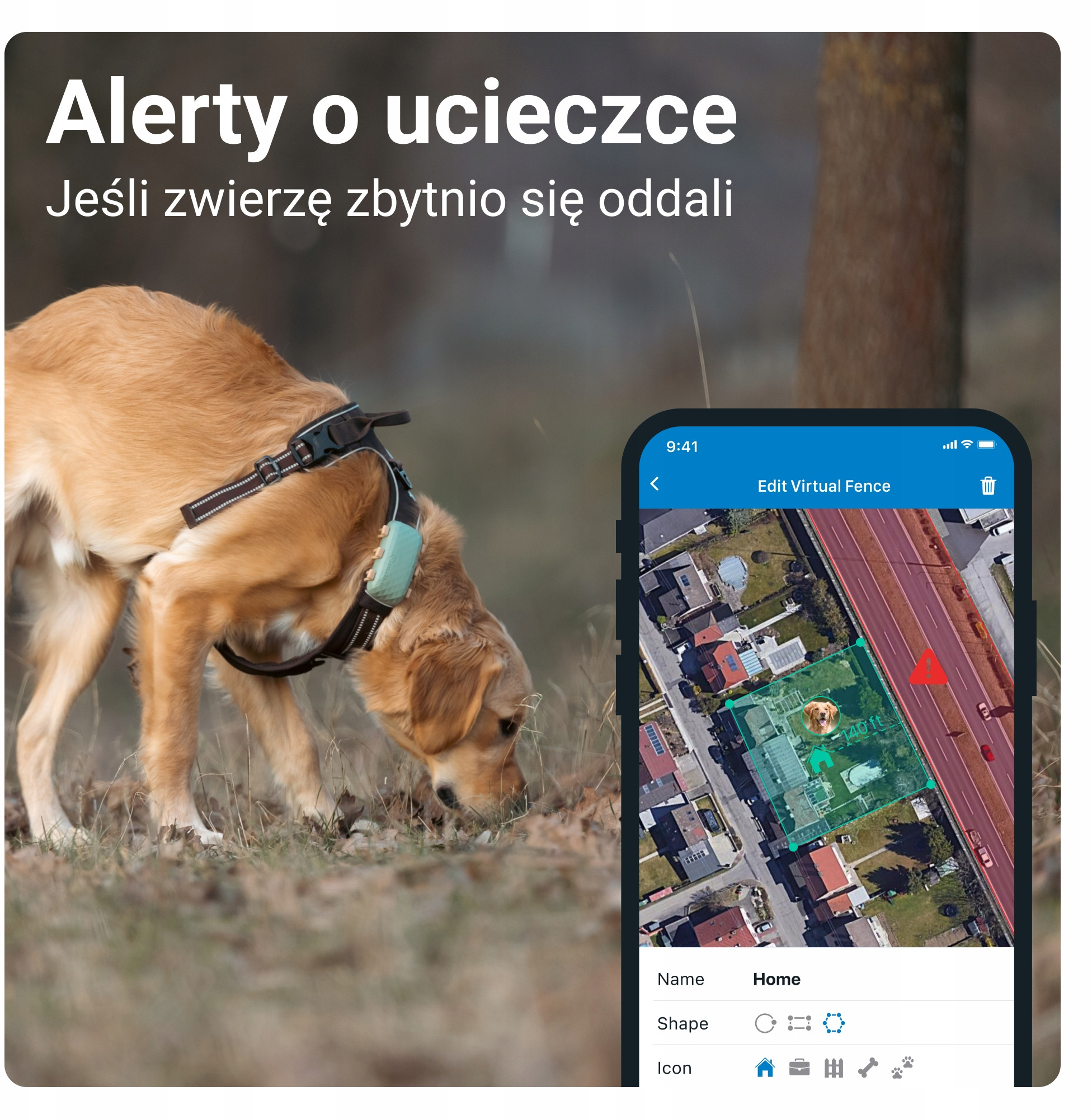 Bezpieczeństwo Twojego pupila dzięki lokalizacji GPS