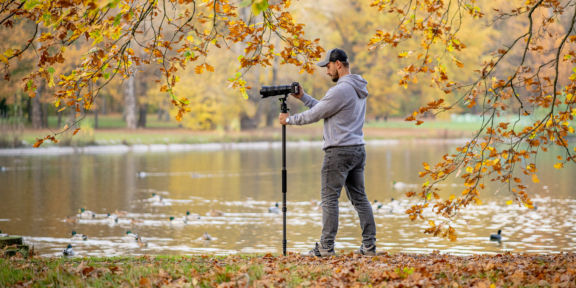 fotopro