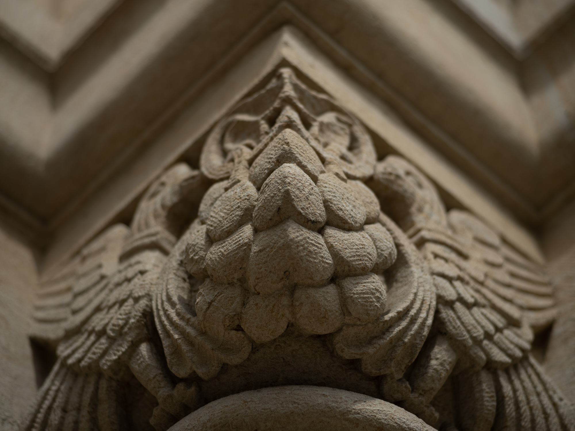 Obiektyw Voigtlander Ultron 75 mm f/1,9 do Leica M - SC